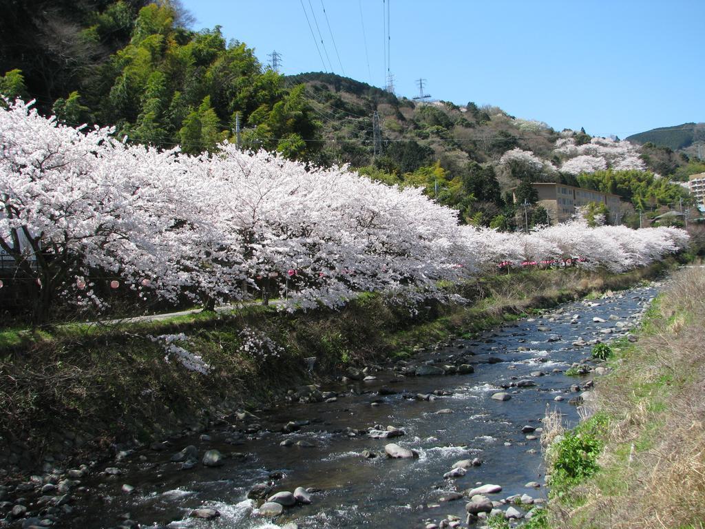 Yugawara Onsen Kawasegien Isuzu Hotel Атами Экстерьер фото